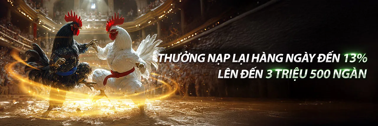 Đá gà trực tuyến kịch tính tại b888 bet