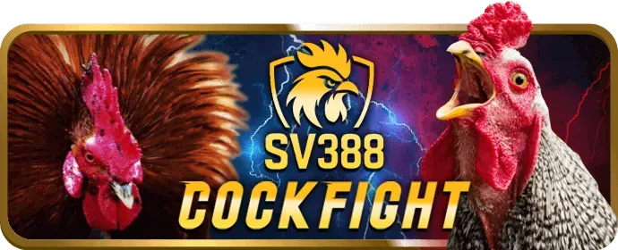 Biểu tượng các kèo cược đá gà phổ biến tại b888 bet